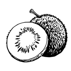 A Detailed Black And White Illustration Of A Kiwi Fruit Sliced Open To Reveal Its Inner Seeds An