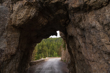 Custer State Park, South Dakota