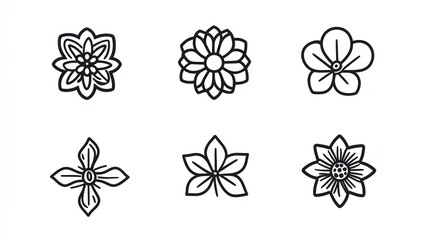 Six floral line art designs, white background, graphic design element
