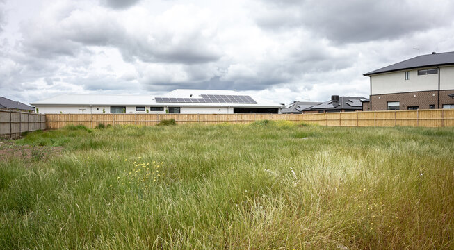 Tall wild grass and weeds growing on vacant land or an undeveloped grassy lot, surrounded by modern suburban houses in an Australian housing development. Plot in a new estate in the outer suburb.