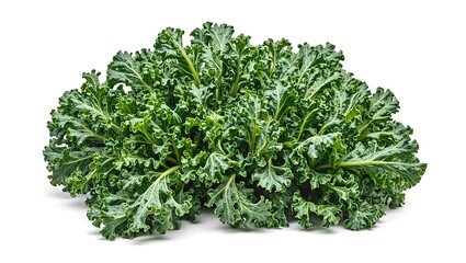 Fototapeta premium Vibrant kale leaves with textured surfaces curled edges immaculately arranged for a fresh healthy look Ideal for wellness and food concept designs