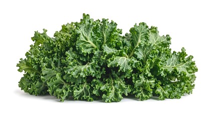 Obraz premium Vibrant kale leaves with textured surfaces curled edges immaculately arranged for a fresh healthy look Ideal for wellness and food concept designs
