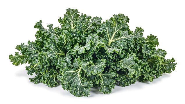 Vibrant kale leaves with textured surfaces curled edges immaculately arranged for a fresh healthy look Ideal for wellness and food concept designs