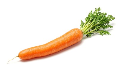 Fresh orange carrot with lush green tops exuding crispness under sunlight on a clean white backdrop