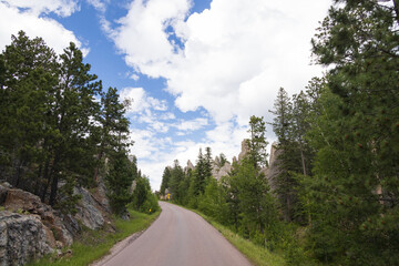 Naklejka premium Road through Custer State Park, South Dakota 