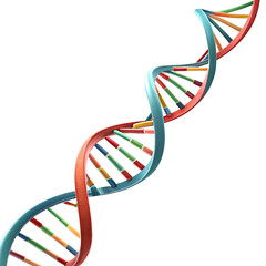 Colorful DNA structure on a transparent background