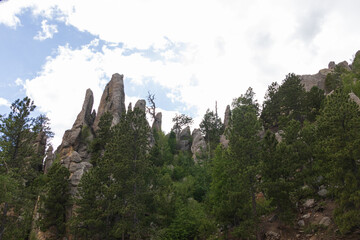 Custer State Park, South Dakota 