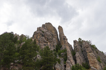 Custer State Park, South Dakota 