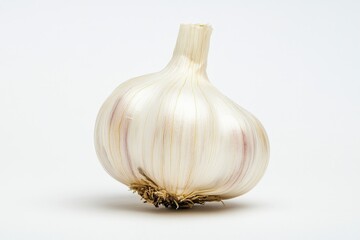 A single bulb of fresh white garlic isolated on white surface