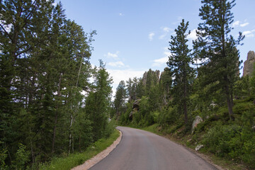 Road through Custer State Park, South Dakota 