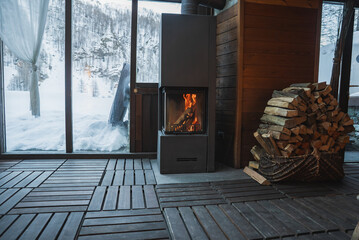 Cozy hotel interior with a modern fireplace, wooden flooring, and large windows revealing snowy...