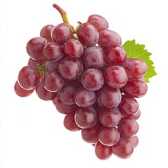 Fototapeta premium Fox Grape features vibrant clusters, perfect for snacking or adding to your favorite dishes. A delight for the palate