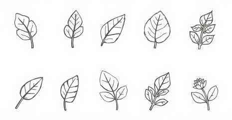Elegant Line Art Leaves and Flowers