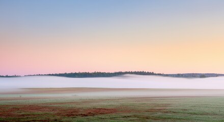 Serene sunrise over fog-covered field and forest