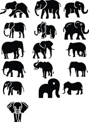 elephant, zoo, animal, vector, illustration, mammal, africa, tusk, african, safari, silhouette, wildlife, big, wild, nature, animal trunk, no people, standing, walking, logotype, isolated, white, blac