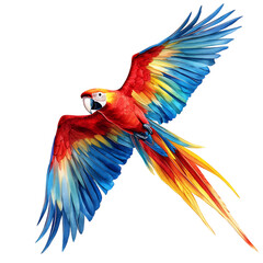 A Radiant Scarlet Macaw Flying Across the Sky Isolated on Transparent Background