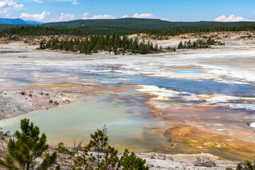 Norris Geyser Basin, Yellowstone, Wyoming...