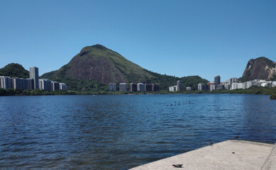 Rio de Janeiro skyline landscape city urban lagoon forest stone rock mountain hill vegetation nature green tree bird heron sky blue water park garden vacation beautiful path wood land asphalt deck