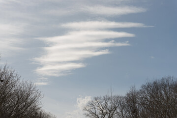 cloud formations on a light blue sky background with trees