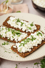 Plate with tasty cottage cheese and rye bread on light grunge background