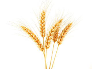 Close-up of golden wheat stalks, symbolizing agriculture and organic food production. Generative AI