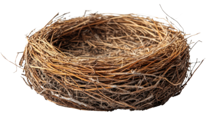 You've reached our limit of messages per hour Please try again later