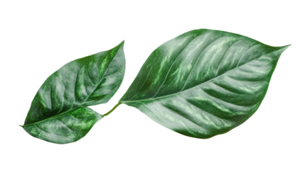 You've reached our limit of messages per hour Please try again later