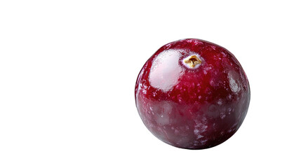 Obraz premium You've reached our limit of messages per hour Please try again later