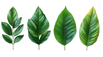 Let me know if you want it shorter, more poetic, or tailored for a specific use like a file name or product description!