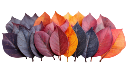 Let me know if you'd like variations or a more creative version!