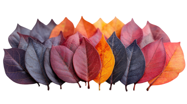 Let me know if you'd like variations or a more creative version!