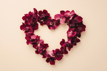 Obraz premium Heart-shaped burgundy orchid flowers on a beige background