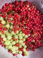 Freshly Harvested Berries and Gooseberries Arranged Beautifully in a Stainless Steel Bowl