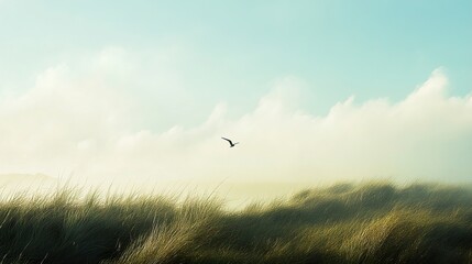 Fototapeta premium Serene Coastal Landscape: Bird in Flight over Grassy Dunes