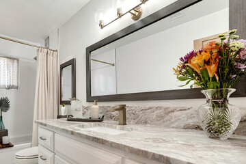 a home bathroom interior with a sink