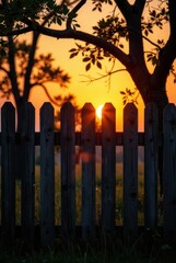 Serene Sunset View Through a Rustic Wooden Fence, Silhouetted Trees and Golden Hour Light