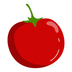 Vegetable Illustration