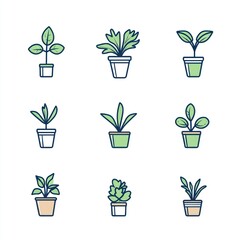Simple illustrations showcasing potted plants of different varieties in a grid