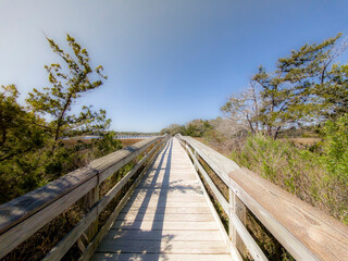 Wood bridge spanning across acres of golden reeds and marsh in a classic South Carolina landscape...