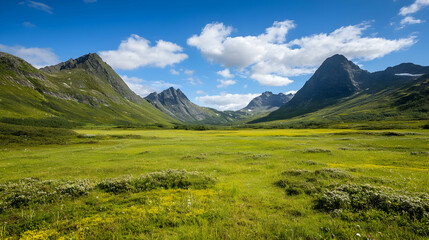 Fototapeta premium Wide Open Meadow Between Lush Mountains Under Sunny Blue Sky