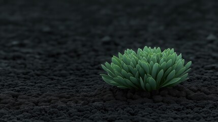 Fototapeta premium Vibrant green plants sprout from dark volcanic terrain, illustrating the early stages of ecological recovery in a forest. Morning light enhances the scene of life against destruction