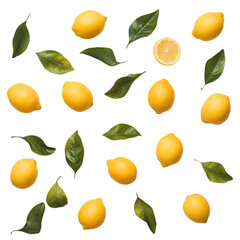 Lemons & Leaves: Food Photography