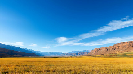 Fototapeta premium Golden Field Valley Under A Clear Blue Sky With Mountains