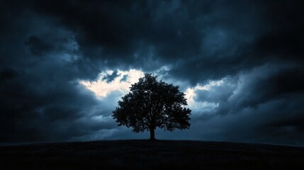 Lone tree silhouetted against stormy sky; nature's resilience; landscape photography