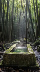 Serene Japanese Forest Onsen: A Mossy Stone Bath Amidst Towering Bamboo, Capturing the Essence of Tranquility and Natural Beauty