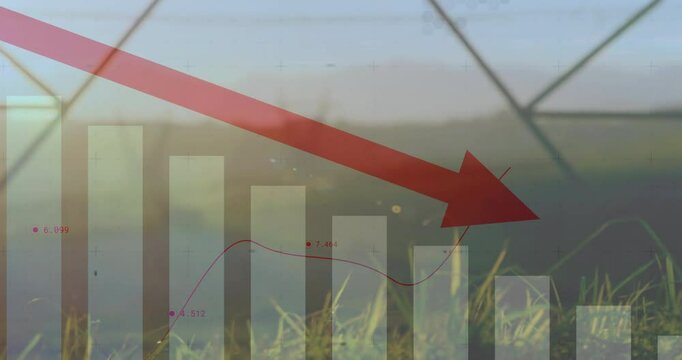 Over nature background, red arrow pointing down on bar graph, showing decline