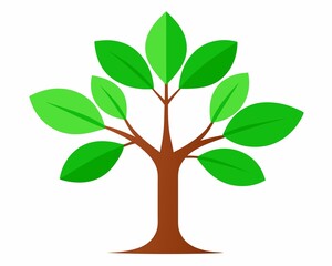 Obraz premium Green sapling of bird-cherry tree on white background.