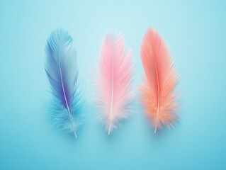 Feathers floating in triadic color scheme with soft light and space for text