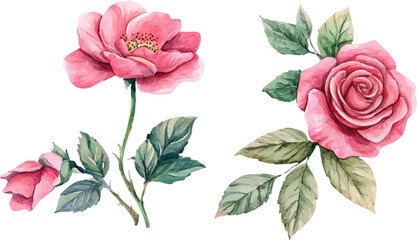 Fototapeta premium bouquet of roses