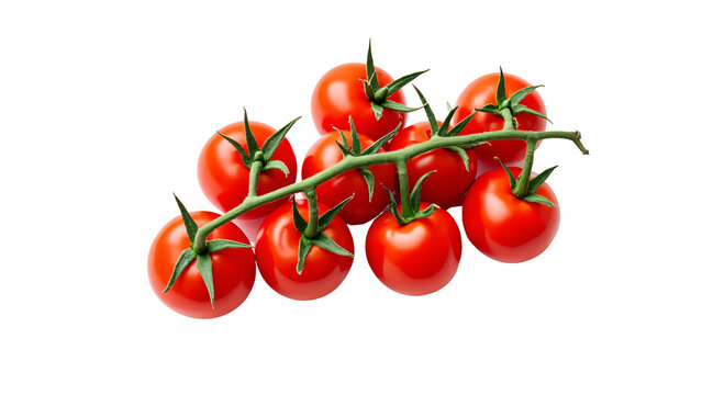 cherry tomatoes on the vine isolated on white background